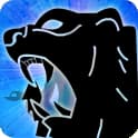 Bear Spirit Animal Zodiac