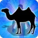 Camel Zodiac