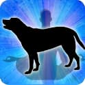 Dog Spirit Animal Zodiac