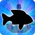 Fish Spirit Animal Zodiac