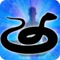 Snake Zodiac