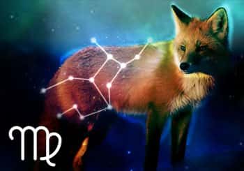 Virgo Spirit Animal: Fox