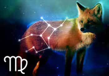Your Zodiac Sign Spirit Animal Representation | Meaning & Symbolism