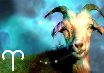 Aries Spirit Animal: Goat