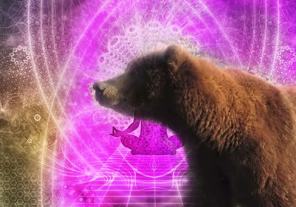 What Does It Mean if a Bear Is Your Spirit Animal?