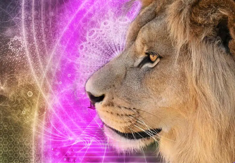Learn the meaning of Lion Spirit Animal | Personality and Symbolism |  Dravalon Seek