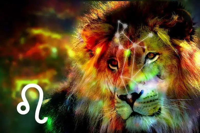 Best Representation for Leo Spirit Animal (Meaning and Compability) |  Dravalon Seek