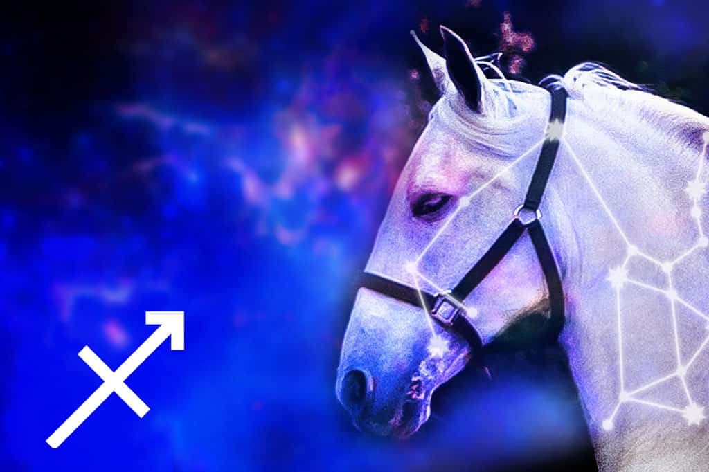 Sagittarius Spirit Animal: Horse