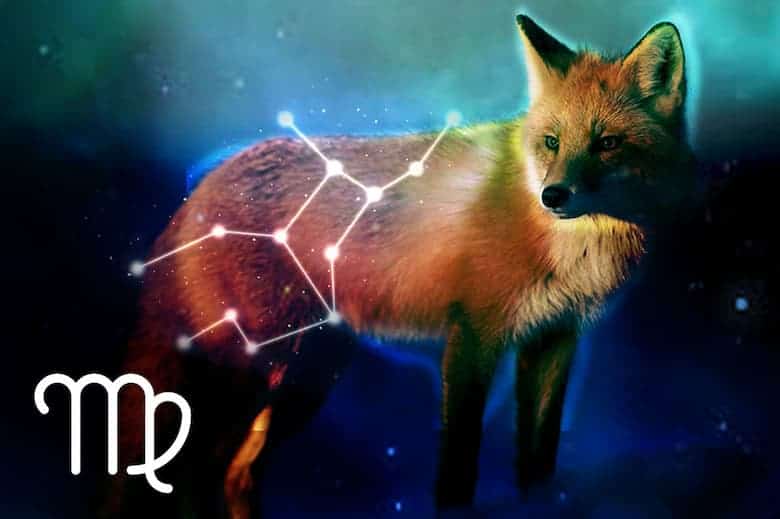 Virgo Spirit Animal: Fox